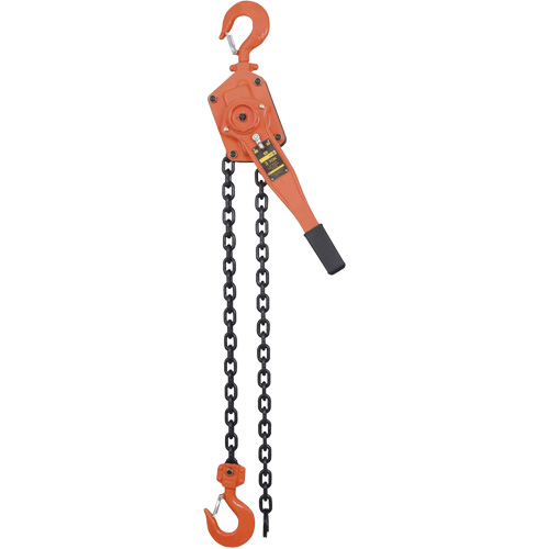 VLP Series Chain Hoists, 5' Lift, 6000 lbs. (3 tons) Capacity, Steel Chain R.M.G. Prévention