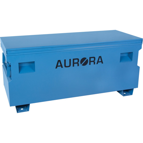 Jobsite Tool Box, 60" x 24" x 27-1/2", Steel, Blue R.M.G. Prévention