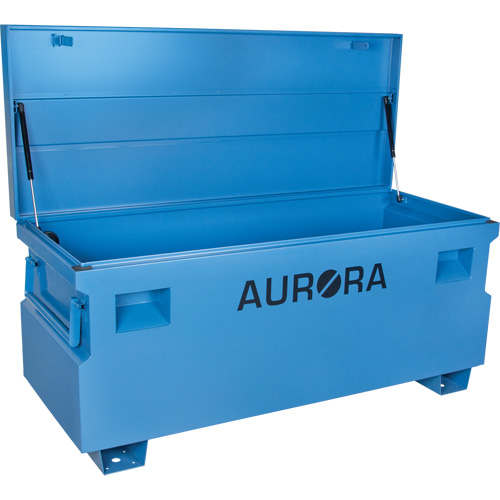 Jobsite Tool Box, 60" x 24" x 27-1/2", Steel, Blue R.M.G. Prévention
