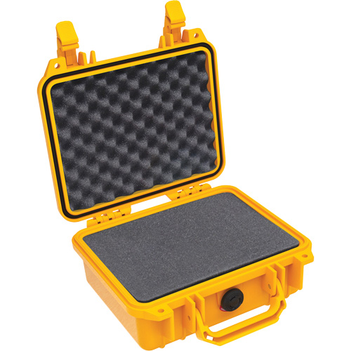 1200 Protector Case with Foam R.M.G. Prévention