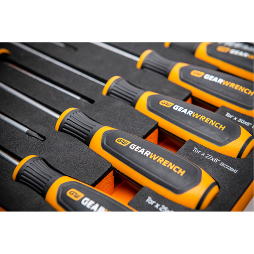 Torx&reg; Dual Material Screwdriver Set in Foam Storage Tray, 10 Pcs. R.M.G. Prévention