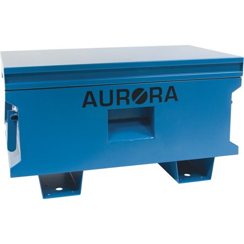 Coffre &agrave; outils de chantier, 33" x 20-3/10" x 18-3/10", Acier, Bleu R.M.G. Prévention