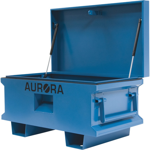 Coffre &agrave; outils de chantier, 33" x 20-3/10" x 18-3/10", Acier, Bleu R.M.G. Prévention