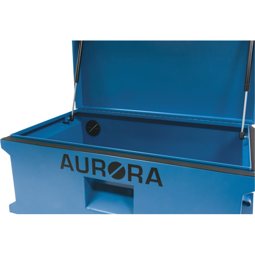 Coffre &agrave; outils de chantier, 33" x 20-3/10" x 18-3/10", Acier, Bleu R.M.G. Prévention