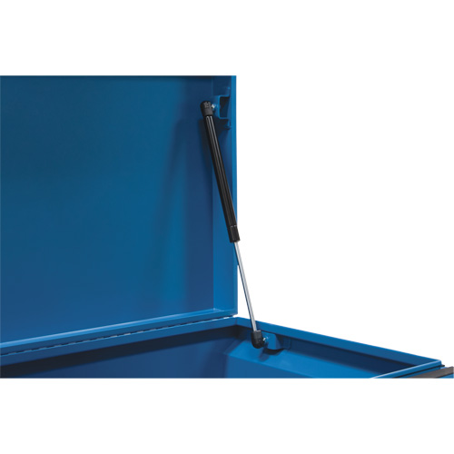 Coffre &agrave; outils de chantier, 33" x 20-3/10" x 18-3/10", Acier, Bleu R.M.G. Prévention