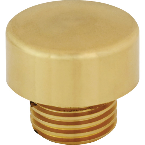 Replacment Hammer Tip for Dead Blow Hammer R.M.G. Prévention