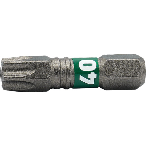 Impactech&reg; Insert Bit, Torx&reg; Tamper, T-40, 1/4" Drive R.M.G. Prévention