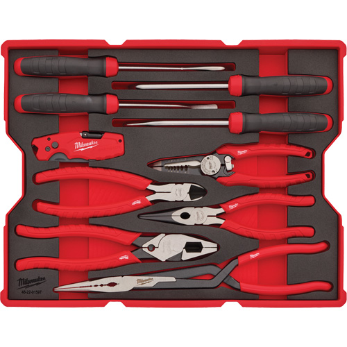 Pliers & Pick Set with Tray for PACKOUT Drawers R.M.G. Prévention