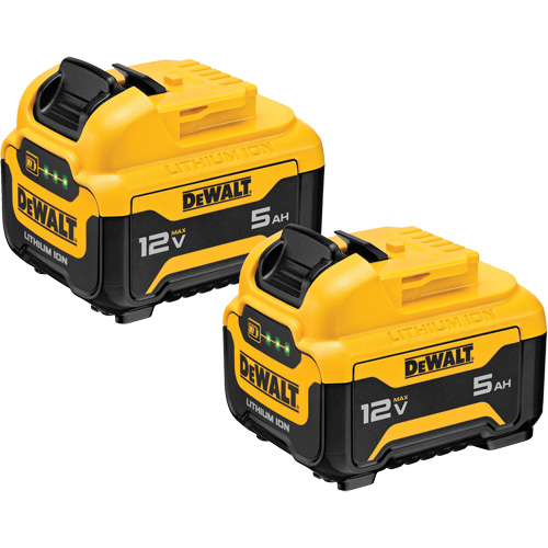 Max* Battery Packs, Lithium-Ion, 12 V, 5 Ah R.M.G. Prévention
