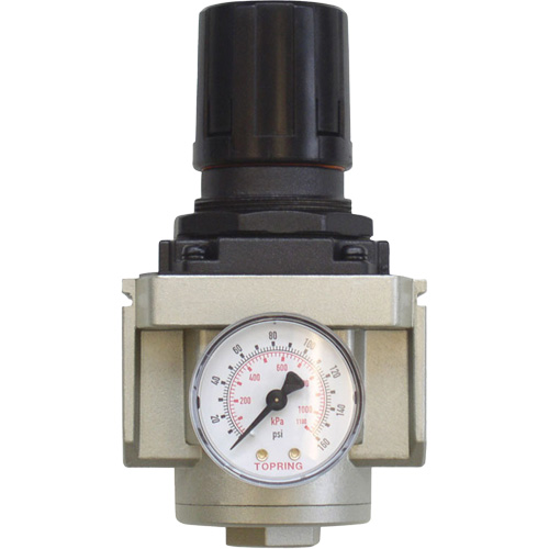 AIRFLO 450 Aluminum Regulator, 3/4" NPT, 145 PSI Max. PSI, Modular R.M.G. Prévention