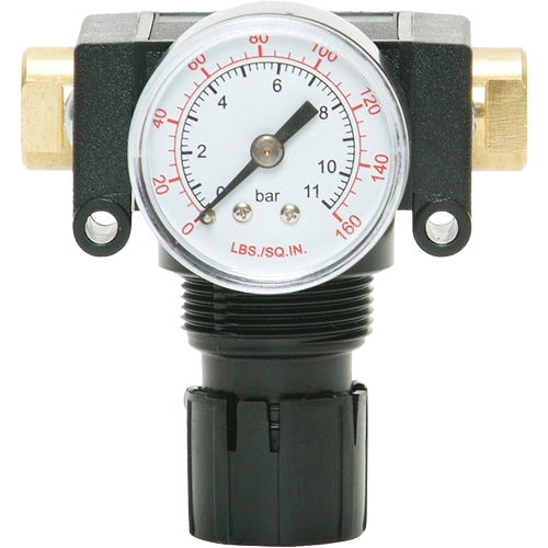 MODULAIR 200 Acetal Piston Regulator, 1/4" NPT, 150 PSI Max. PSI, In Line/Modular R.M.G. Prévention