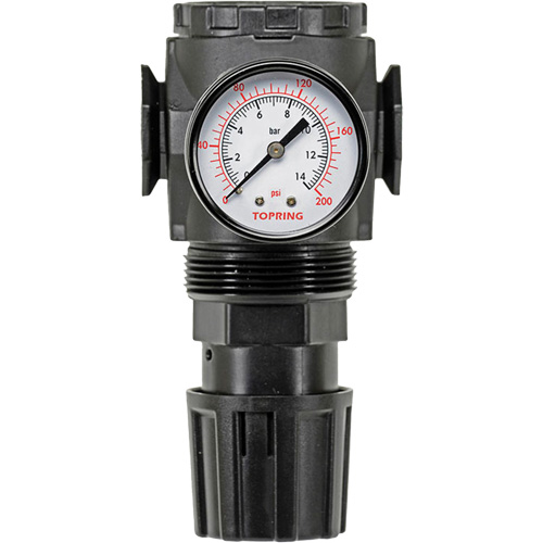 MODULAIR 300 Zinc Diaphragm Regulator, 3/8" NPT, 300 psi Max. PSI, In Line/Modular R.M.G. Prévention
