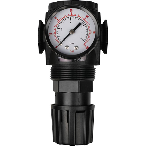 MODULAIR 300 Compressed Air Regulator, 1/2" NPT, 300 psi Max. PSI, In Line/Modular R.M.G. Prévention