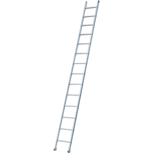 Industrial Heavy-Duty Extension/Straight Ladders, 8', Aluminum, 300 lbs., CSA Grade 1A R.M.G. Prévention