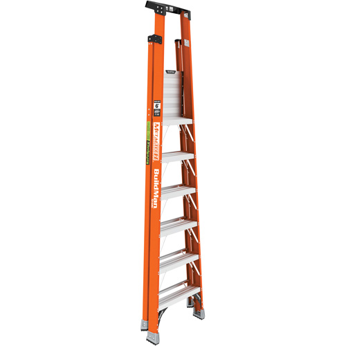 Safespace Platform Step Ladder, 6', 300 lbs. Cap. R.M.G. Prévention
