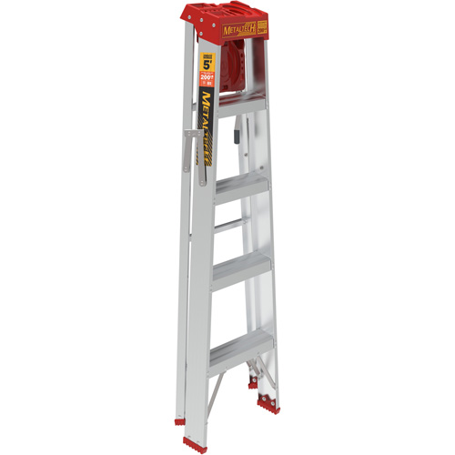 Step Ladder with Paint Tray, 5', Aluminum, 200 lbs. Capacity, Type 3 R.M.G. Prévention
