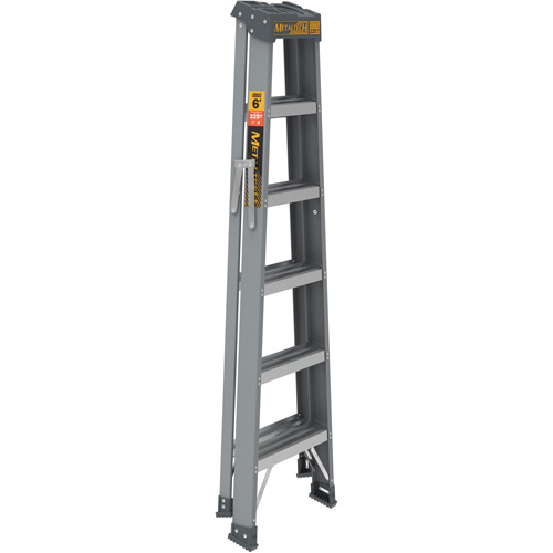 Step Ladder, 6', Fibreglass, 225 lbs. Capacity, Type 2 R.M.G. Prévention