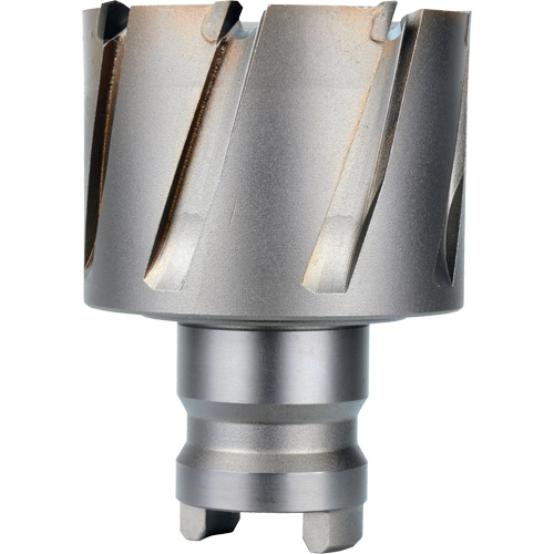 Quick Change Tang Drive Hawg&reg; Cutter, 2" Diameter, Steel, 1" Depth of Cut R.M.G. Prévention