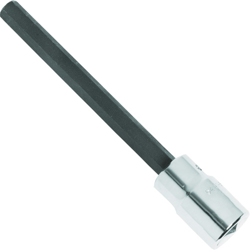 Extra-Long Bit Socket, Hex, 1/4" x 4-5/8" L, 1/2" Square Drive Drive R.M.G. Prévention