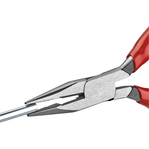 Long Nose Pliers with Cutter, 5" L R.M.G. Prévention