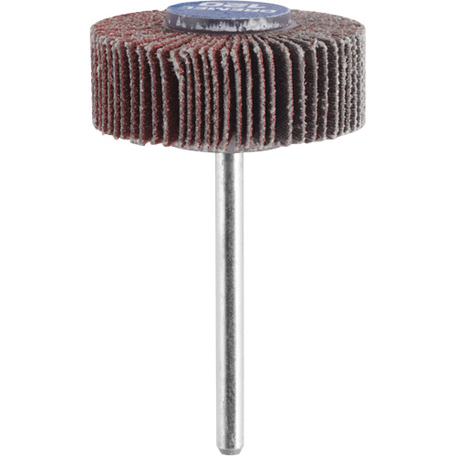 3/8" Flapwheel Sanding Bit - 120 Grit R.M.G. Prévention