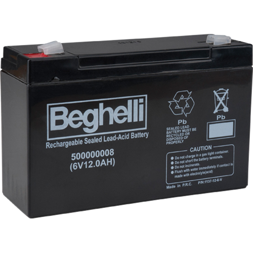 Sealed Lead Acid Batteries, 6 V, 12 Ah R.M.G. Prévention