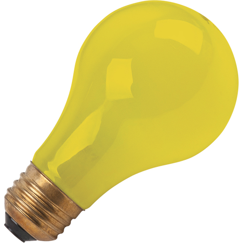Incandescent Lamps - Bug-Lite R.M.G. Prévention