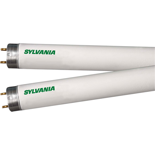 Fluorescent Lamps, 32 W, T8, 4100 K, 48" Long R.M.G. Prévention