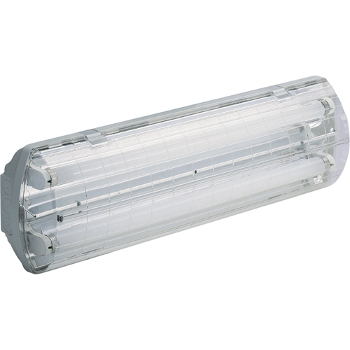 Illumina&reg; BS100 Series Vapor-Tight Light, Polycarbonate, 347 V R.M.G. Prévention