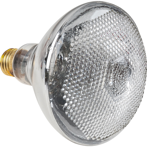 Economy Line Incandescent Lamps R.M.G. Prévention