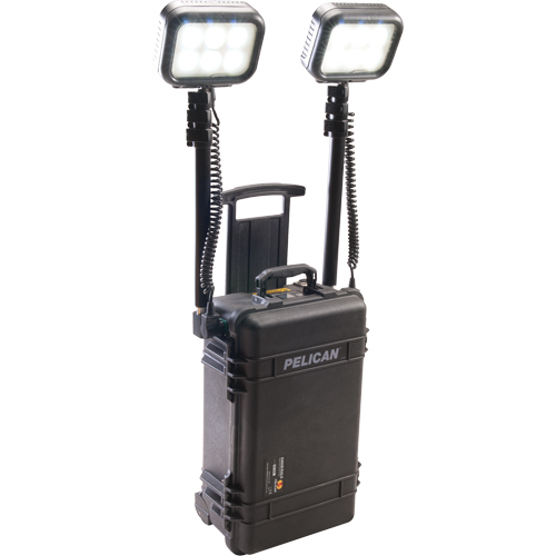 Syst&egrave;mes d'&eacute;clairage pour zones recul&eacute;es 9460, DEL, 12 000 lumens, Boîtier en Plastique R.M.G. Prévention