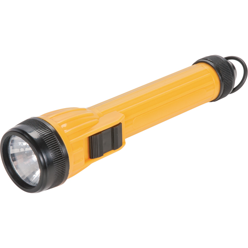 Lampe de poche AFL100, DEL, 28 lumens, Piles AA R.M.G. Prévention