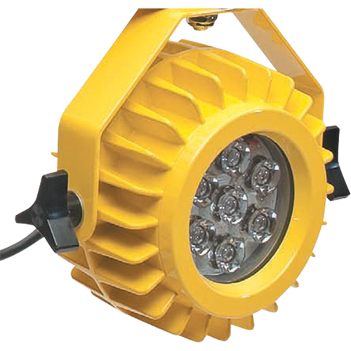 Lampe robuste DEL pour les quais - t&ecirc;te seulement R.M.G. Prévention
