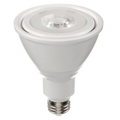 Ampoule DEL, PAR30, 10 W, 800 lumens, base Moyen R.M.G. Prévention