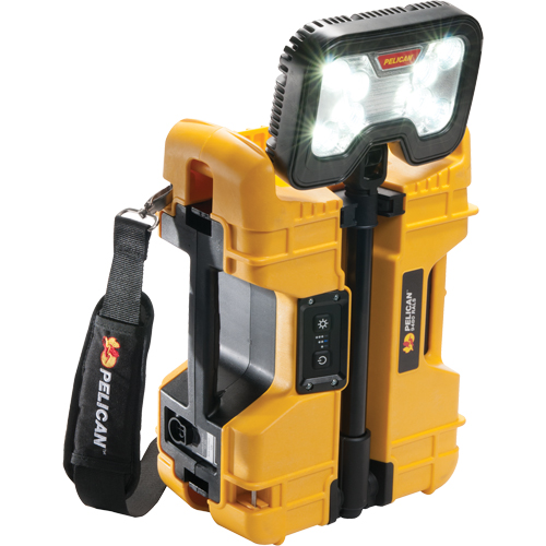 Syst&egrave;mes d'&eacute;clairage &agrave; distance 9480, DEL, 41,1 W, 4000 lumens, Boîtier en Plastique R.M.G. Prévention