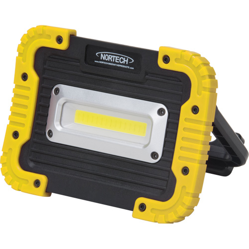 Lampe de travail portative, DEL, 10 W, 1000 lumens, Boîtier en Plastique R.M.G. Prévention