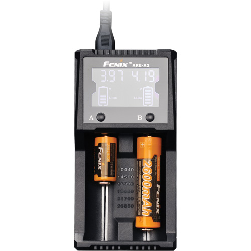 Chargeur de batterie &agrave; deux canaux ARE-A2 R.M.G. Prévention