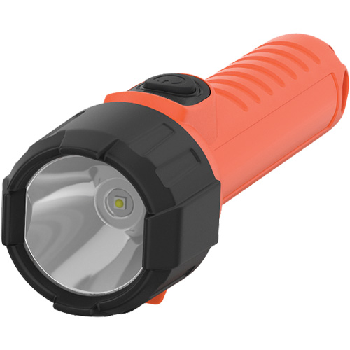 Lampe de poche portative Intrinsically Safe, DEL, 150 lumens, Piles AA R.M.G. Prévention