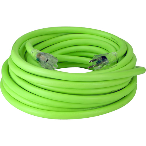 Cordon rallonge industriel Flexzilla Pro, Toutes saisons, SJTW, AWG 10/3, 15 A, 50' R.M.G. Prévention