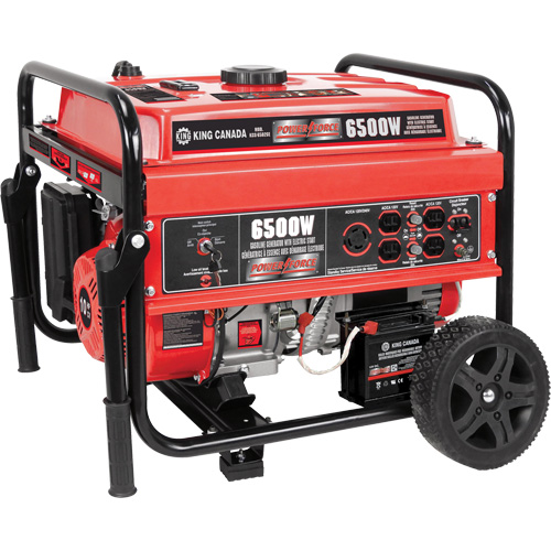 Electric Start Gas Generator with Wheel Kit, 6500 W Surge, 5000 W Rated, 120 V/240 V, 20 L Tank R.M.G. Prévention