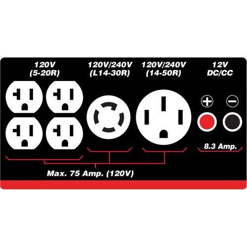 Gasoline/Propane Generator with Electric Start R.M.G. Prévention