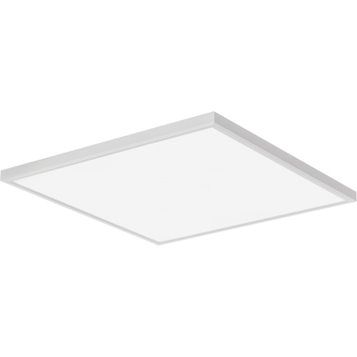 Lumen Switchable Panel, LED, 120 V, 20 - 89 W, 24" W x 24" L R.M.G. Prévention