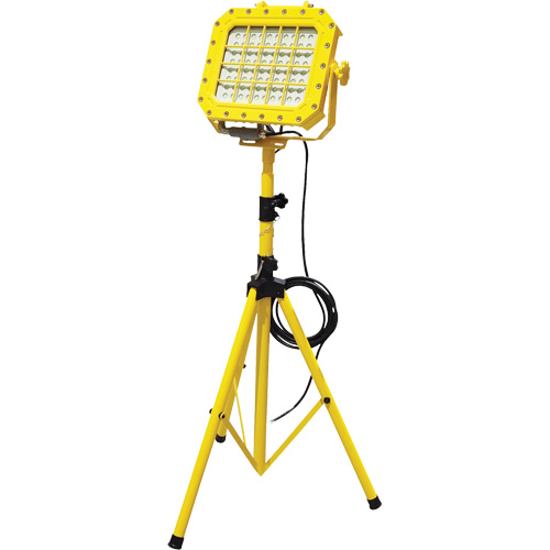 Explosion Proof Floodlight with Tripod, LED, 40 W, 5600 Lumens, Aluminum Housing R.M.G. Prévention