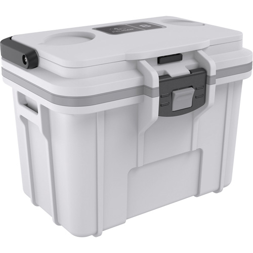 Personal Cooler, 8 qt. Capacity R.M.G. Prévention