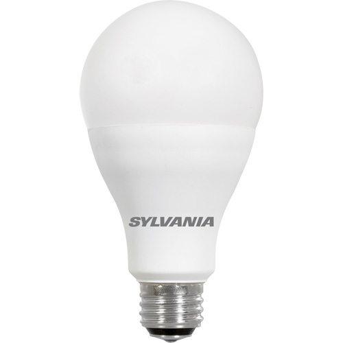 Lampe Ultra LED A-Line, 23 W, 2600 lumens, base Moyen R.M.G. Prévention