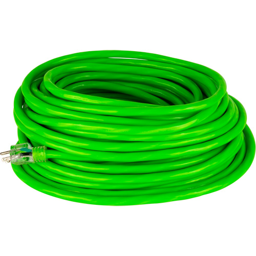 Industrial Extension Cord, All-Weather, SJTW, 10/3 AWG, 15 A, 100' R.M.G. Prévention