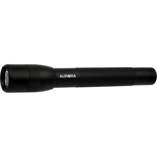 Lampe de poche IPX4, 100 lumens, Piles AA R.M.G. Prévention