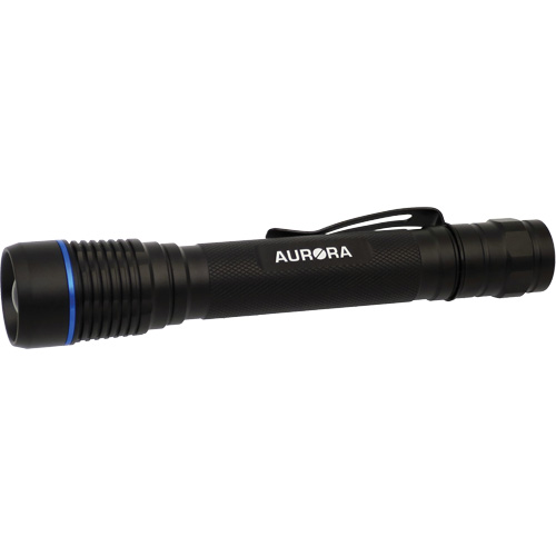 Lampe de poche IPX7, DEL, 250 lumens, Piles AA R.M.G. Prévention