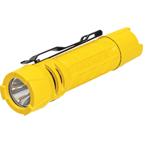 Lampe de poche PolyTac 1X, DEL, 350 lumens, Piles AA/CR123A R.M.G. Prévention