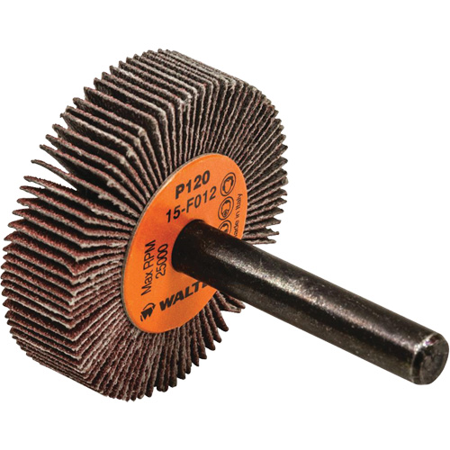 Disque &agrave; lamelles Coolcut, Oxyde d'aluminium, Grain 120, 1-1/2" x 3/8" x 1/4" R.M.G. Prévention